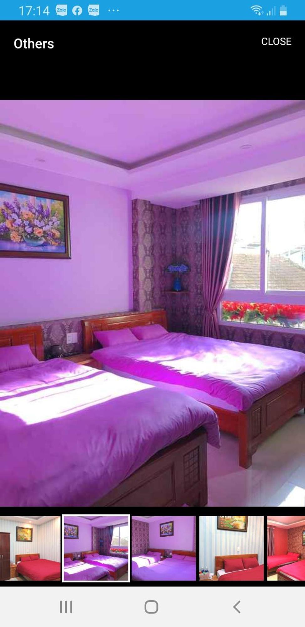 My Dream Hostel Da Lat Buitenkant foto